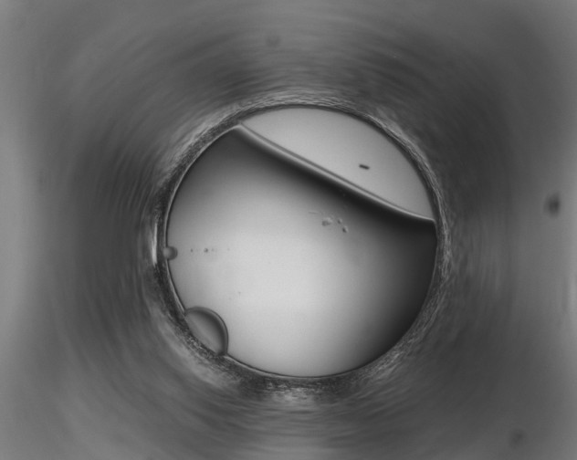 X0000116460062200912090937