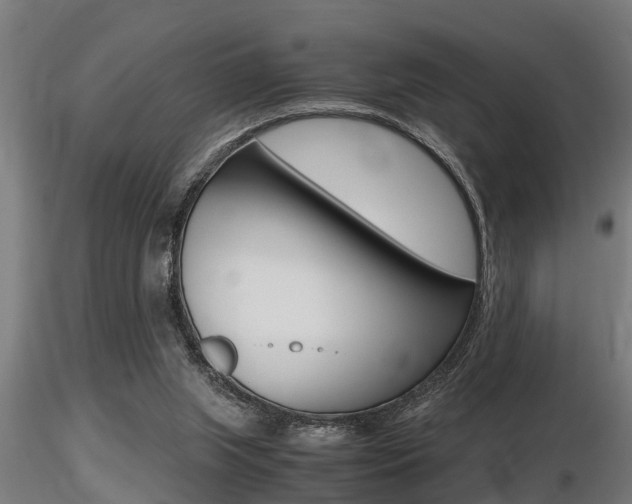 X0000116460063200912090937