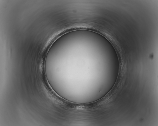 X0000116460064200912090937