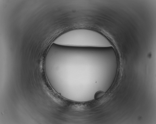 X0000116460065200912090937