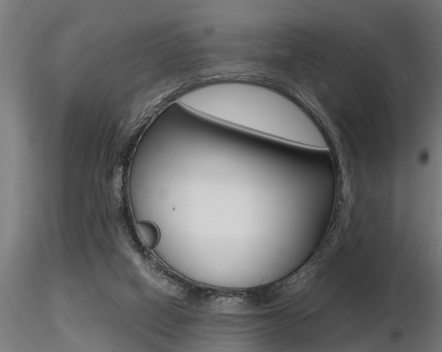 X0000116460066200912090937