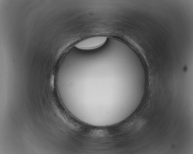 X0000116460067200912090937