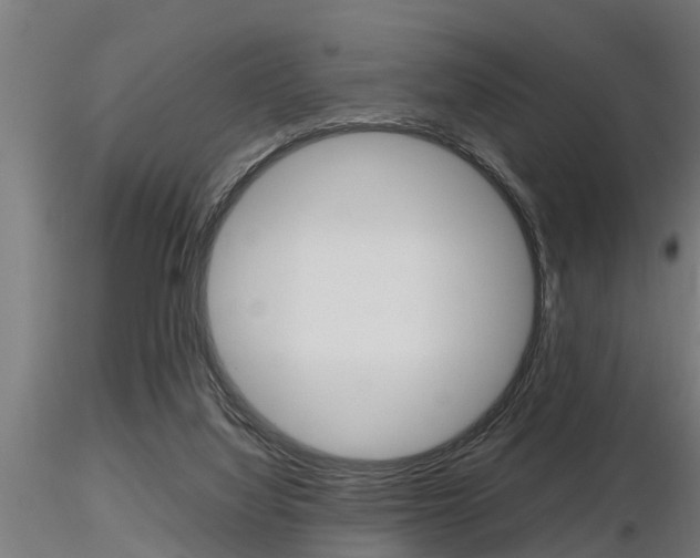 X0000116460068200912090937
