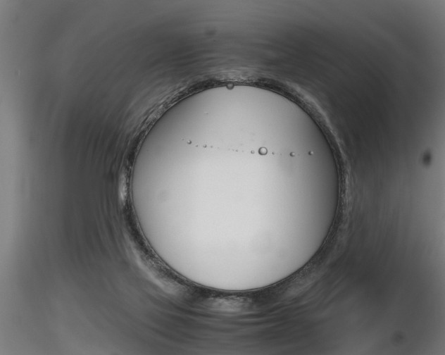 X0000116460069200912090937