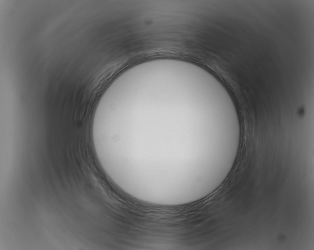 X0000116460070200912090937