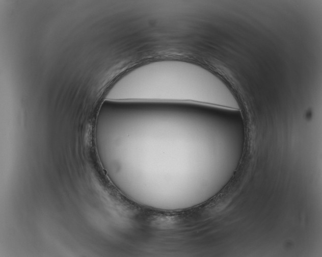 X0000116460071200912090937