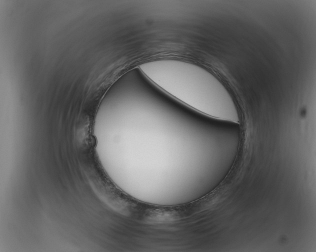 X0000116460073200912090937