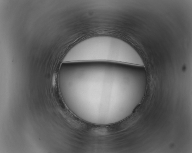 X0000116460075200912090937