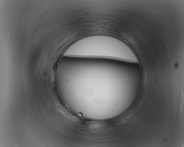 X0000116460077200912090937