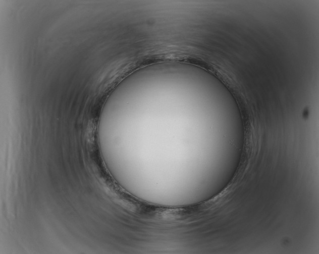 X0000116460078200912090937