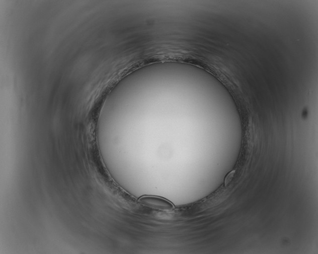 X0000116460079200912090937