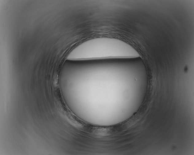 X0000116460081200912090937