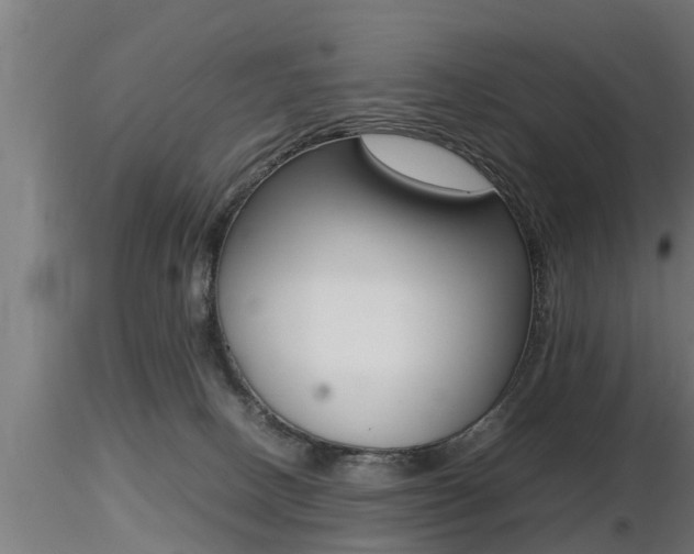 X0000116460082200912090937
