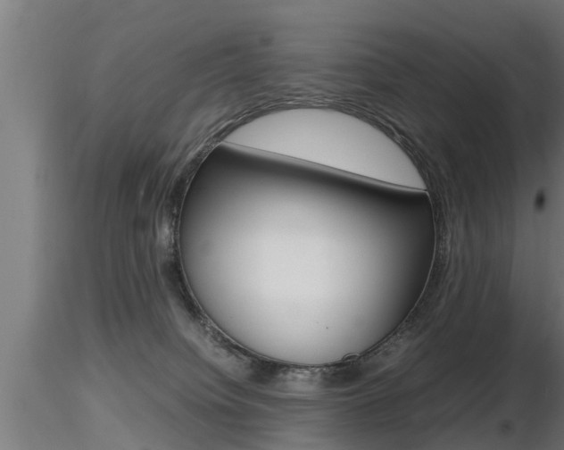 X0000116460084200912090937
