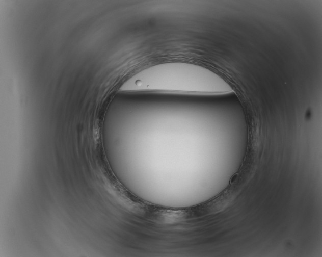 X0000116460085200912090937