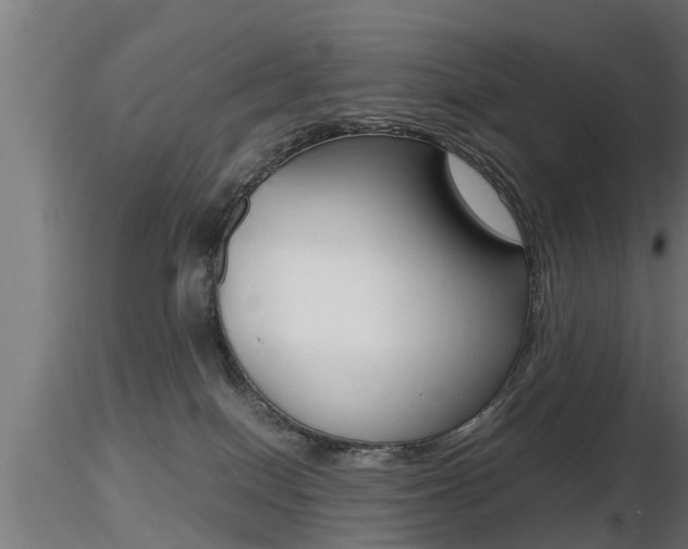 X0000116460086200912090937