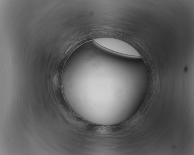X0000116460088200912090937