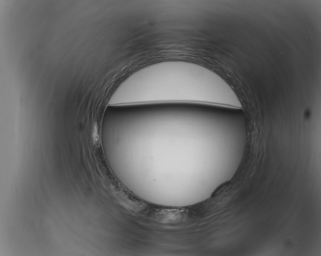 X0000116460089200912090937
