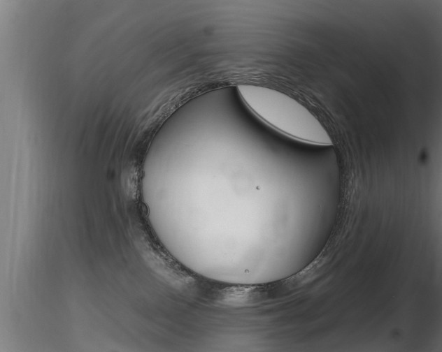 X0000116460090200912090937