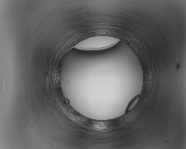 X0000116460091200912090937