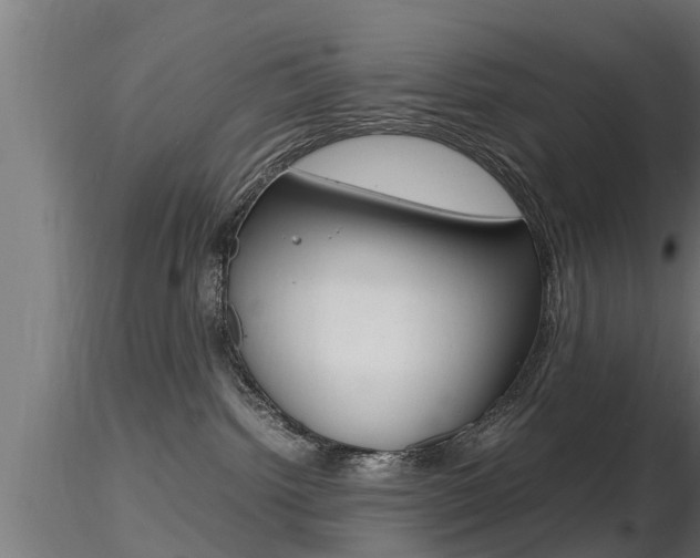 X0000116460092200912090937