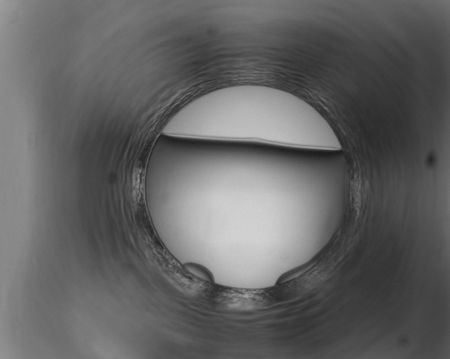 X0000116460093200912090937