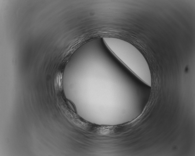 X0000116460094200912090937