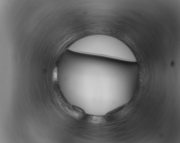 X0000116460095200912090937