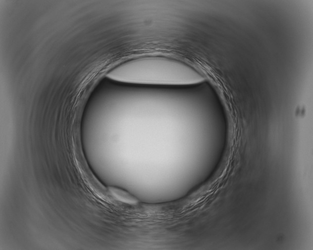 X0000116460097200912090936