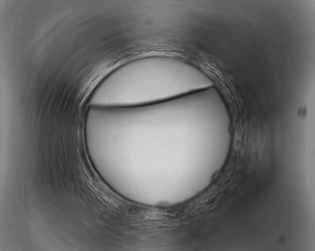 X0000116460098200912090936