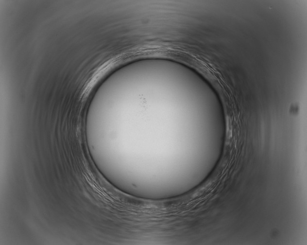 X0000116460099200912090936