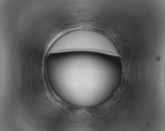X0000116460100200912090936