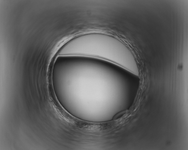 X0000116460104200912090936