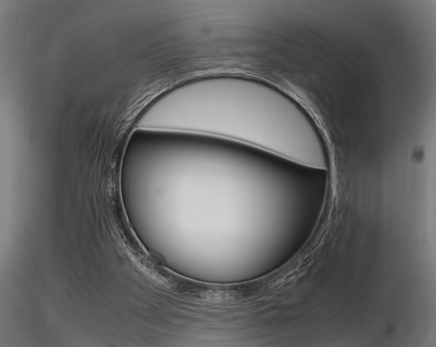 X0000116460105200912090936