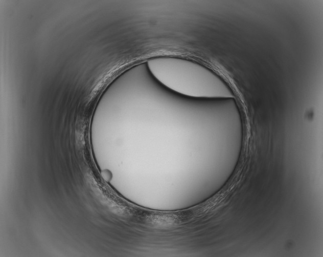 X0000116460106200912090936