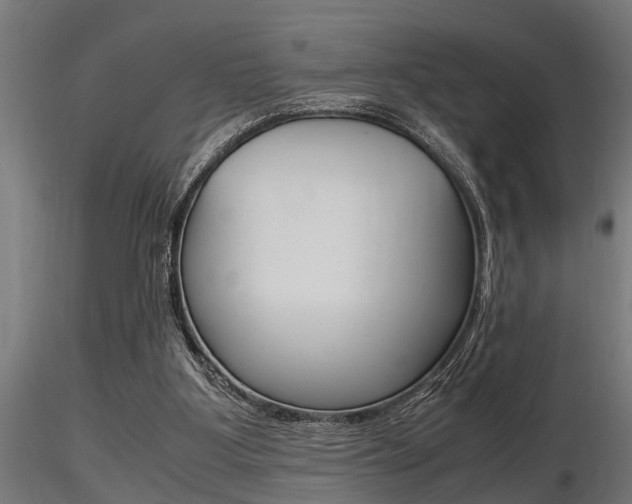 X0000116460107200912090936