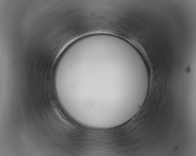 X0000116460108200912090936