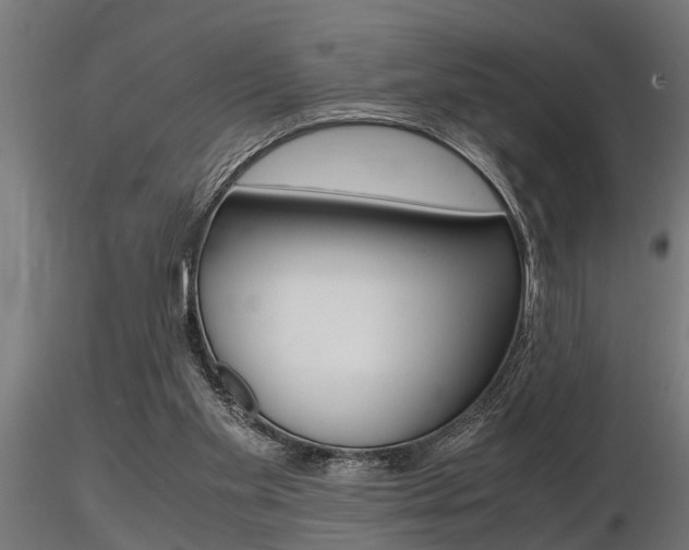 X0000116460109200912090936