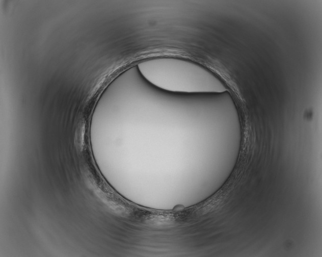 X0000116460110200912090936