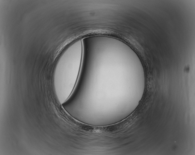 X0000116460111200912090936
