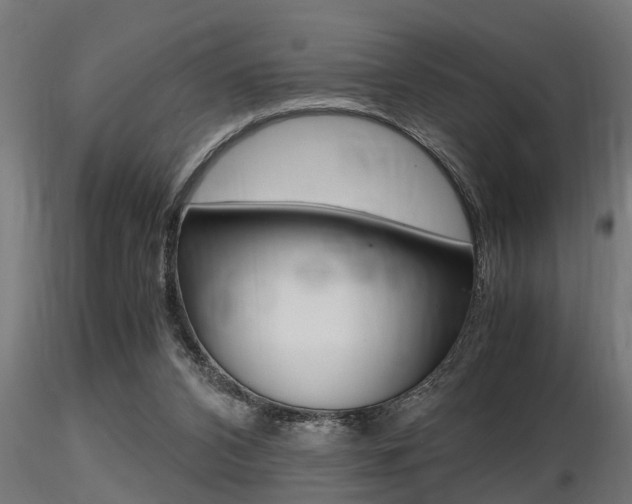X0000116460112200912090936