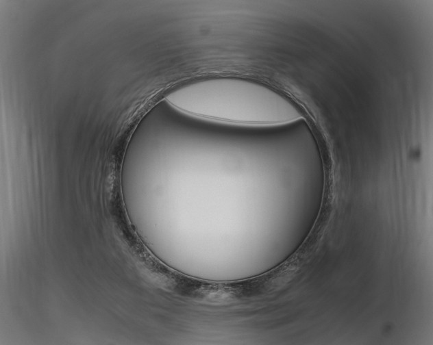 X0000116460113200912090936