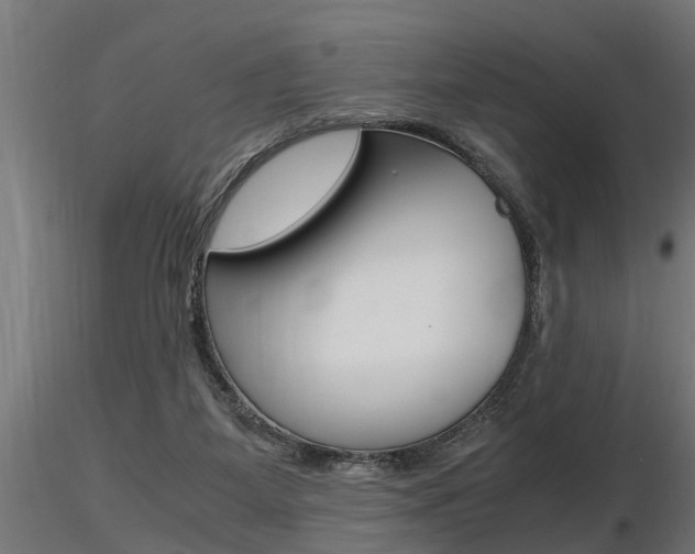 X0000116460115200912090936