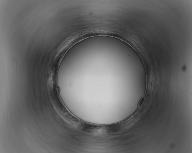 X0000116460116200912090936