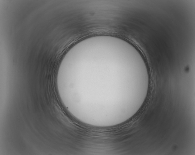 X0000116460117200912090936