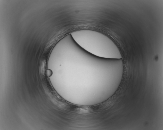 X0000116460118200912090936