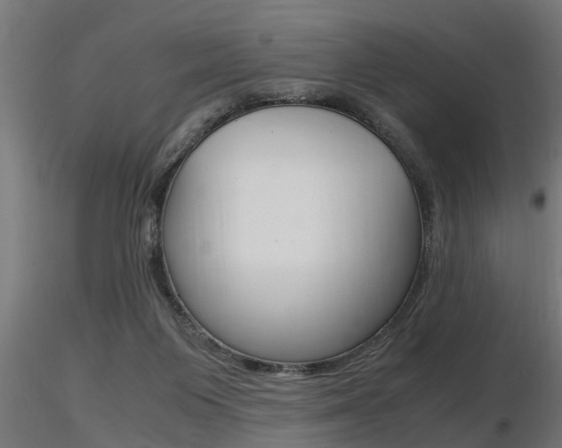 X0000116460119200912090936