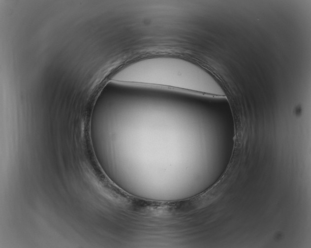 X0000116460120200912090936