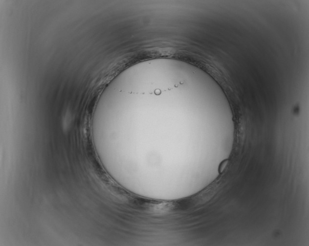 X0000116460122200912090936