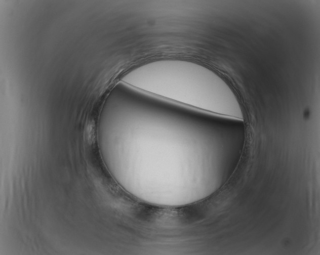 X0000116460123200912090936